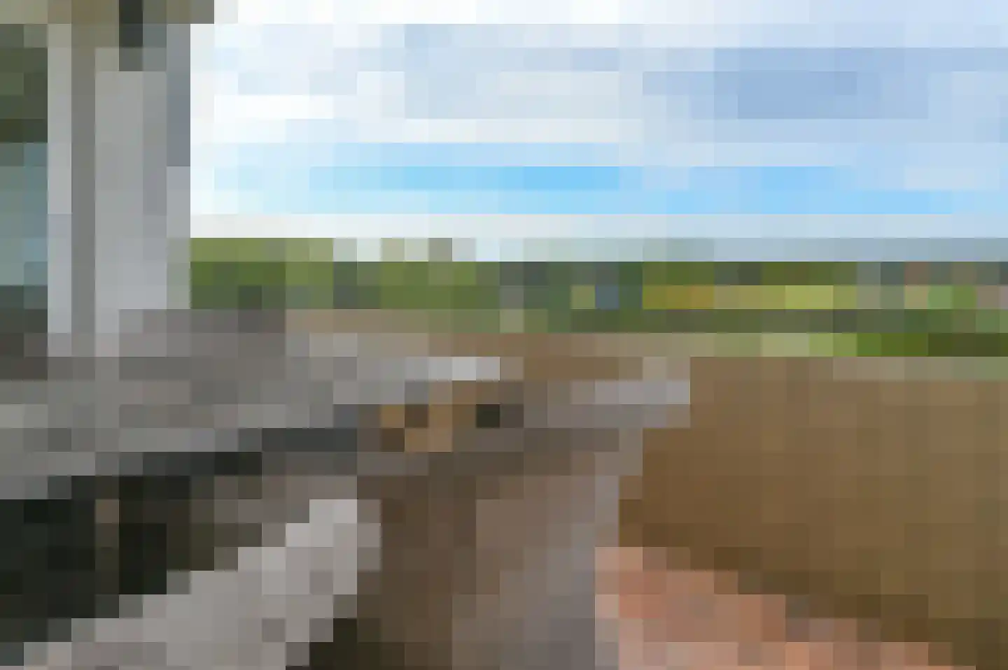 Saxenrodeweg 30 Bentveld thumbnail 26