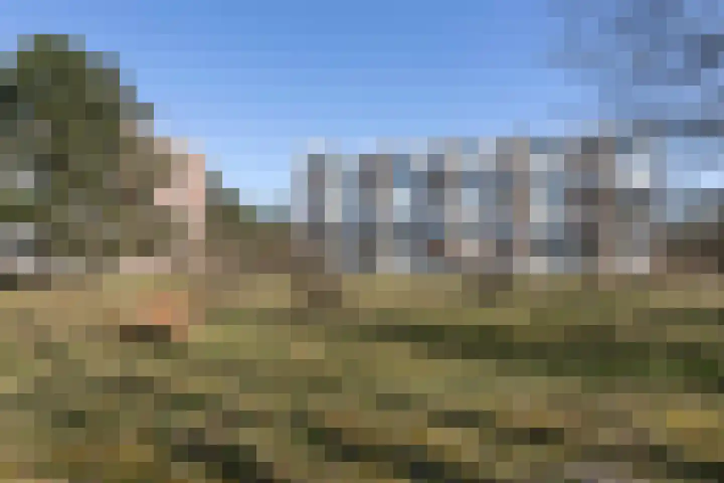 Saxenrodeweg 62 Bentveld thumbnail 19