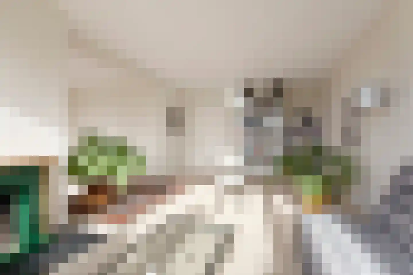 Saxenrodeweg 62 Bentveld thumbnail 5
