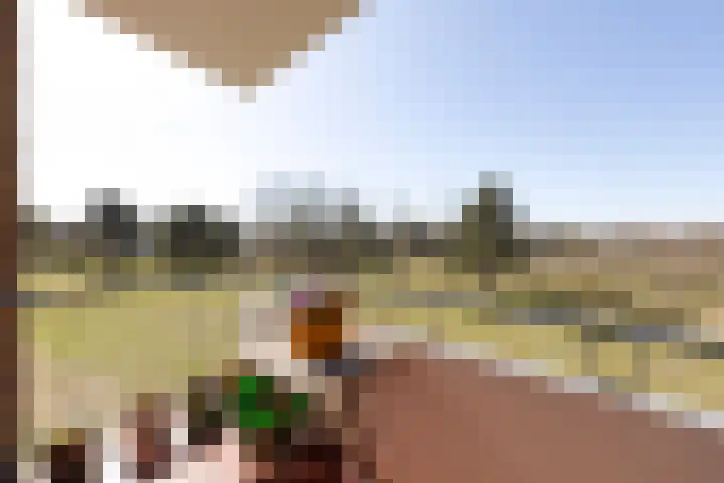 Saxenrodeweg 62 Bentveld thumbnail 7