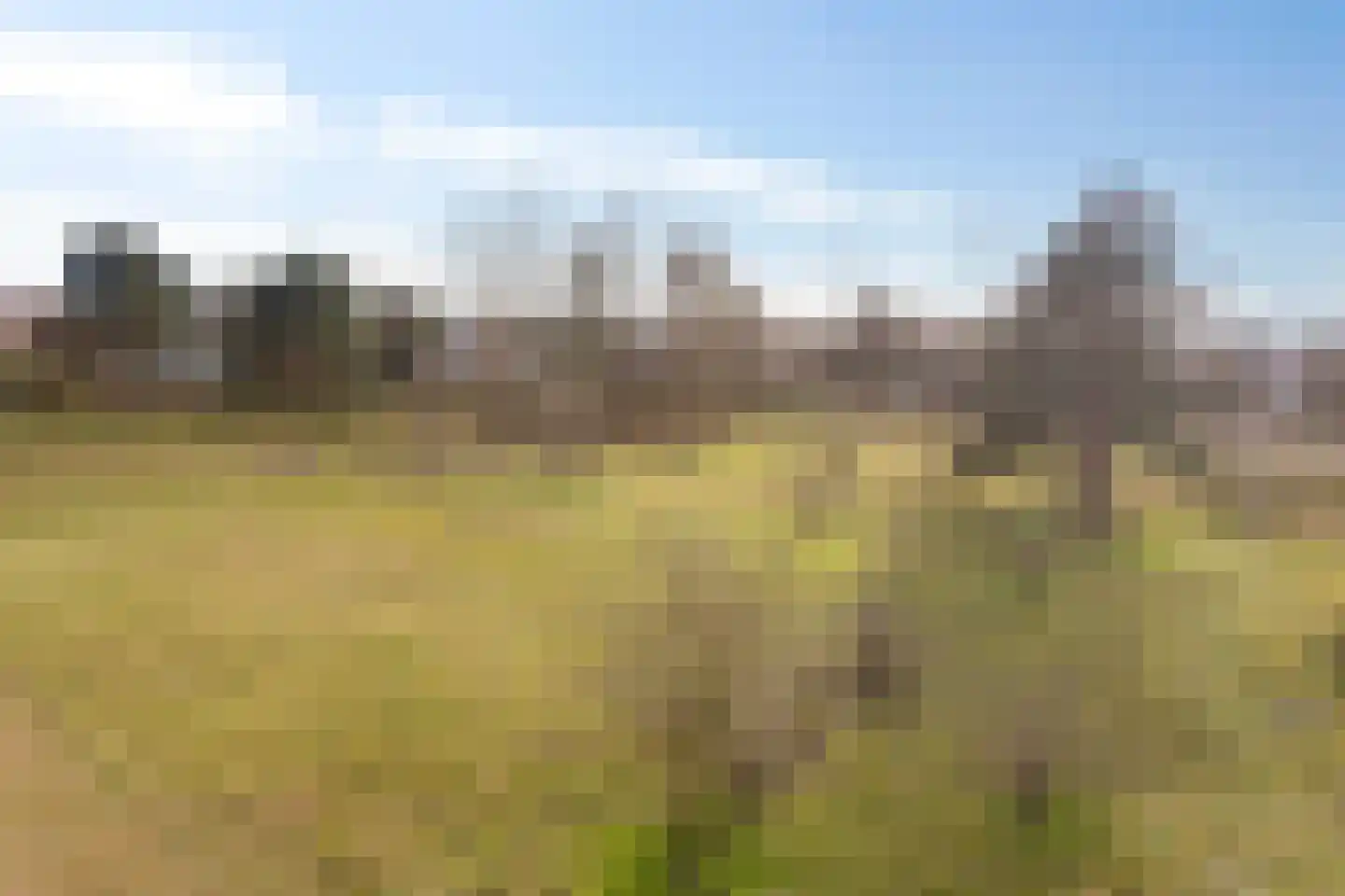 Saxenrodeweg 62 Bentveld thumbnail 8
