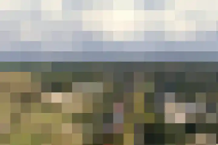 Saxenrodeweg 92 Bentveld thumbnail 33