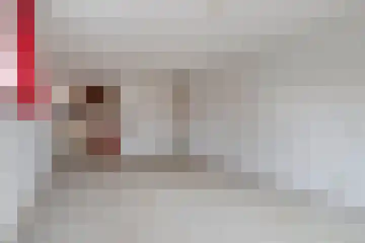 Saxofoondreef 16 Harderwijk thumbnail 14