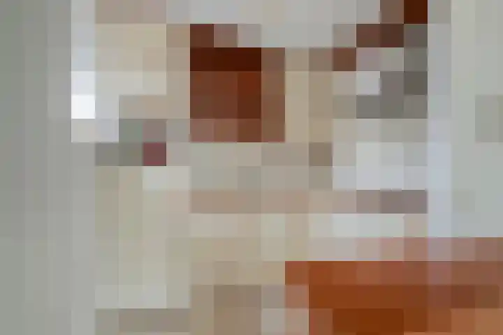 Saxofoondreef 16 Harderwijk thumbnail 15