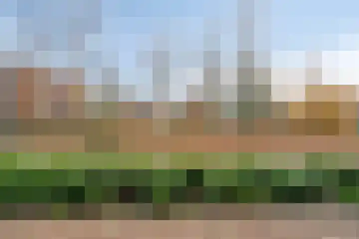 Saxofoondreef 16 Harderwijk thumbnail 27