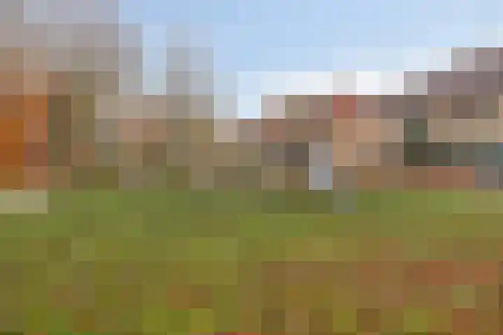 Saxofoondreef 16 Harderwijk thumbnail 31