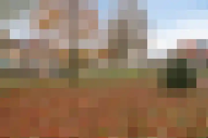 Saxofoondreef 16 Harderwijk thumbnail 32