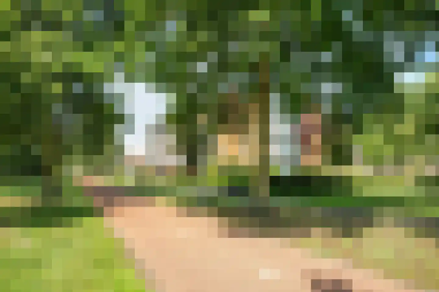 Saxofoondreef 64 Harderwijk thumbnail 38
