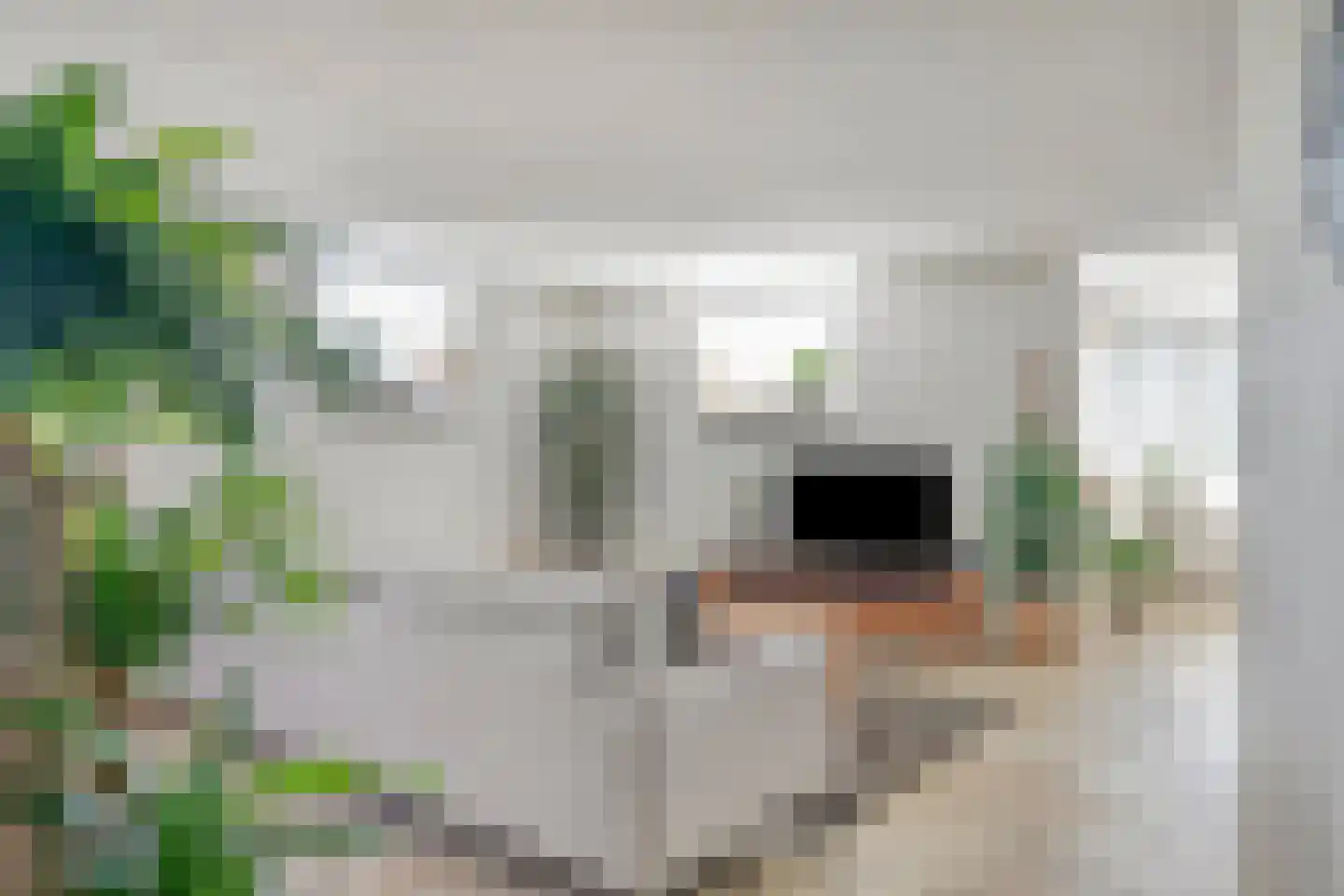 Saxofoondreef 64 Harderwijk thumbnail 6