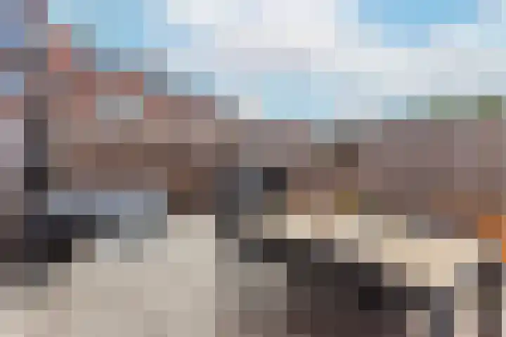 Saxofoonlaan 28 Nieuwegein thumbnail 14