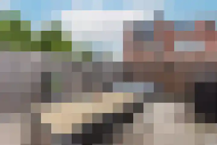 Saxofoonlaan 28 Nieuwegein thumbnail 15