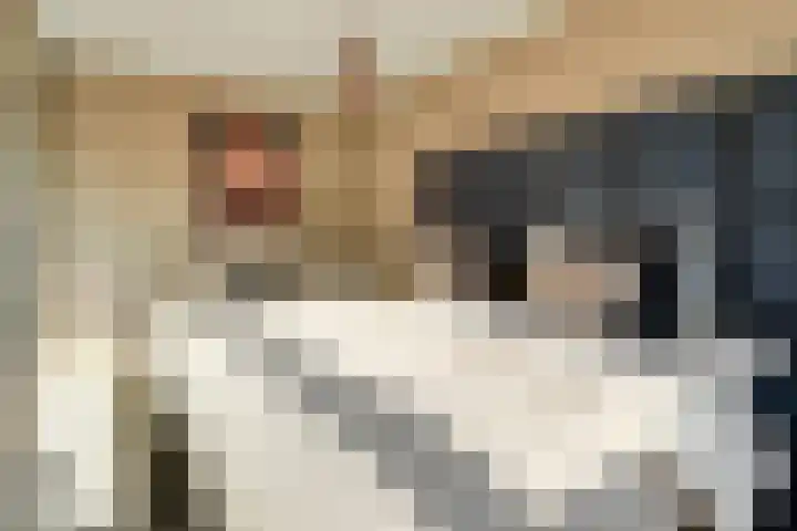 Saxofoonlaan 32 Nieuwegein thumbnail 18