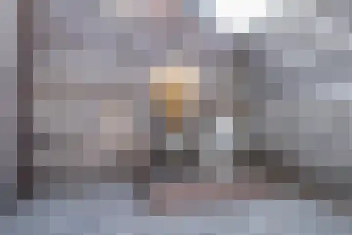 Saxofoonlaan 32 Nieuwegein thumbnail 33