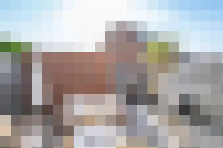 Saxofoonlaan 32 Nieuwegein thumbnail 36
