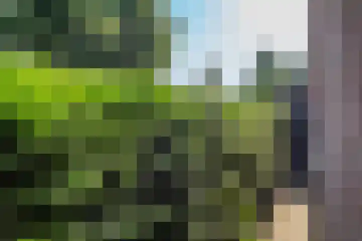 Saxofoonlaan 32 Nieuwegein thumbnail 37