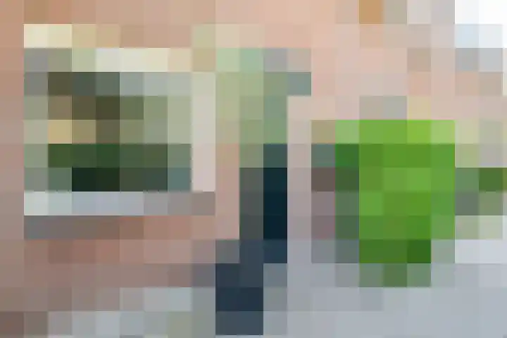 Saxofoonlaan 32 Nieuwegein thumbnail 38