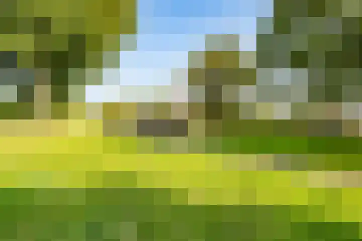 Saxofoonlaan 32 Nieuwegein thumbnail 42
