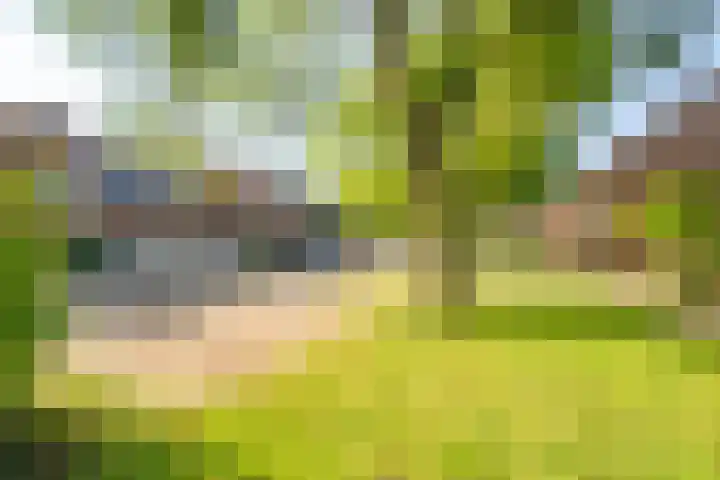 Saxofoonlaan 32 Nieuwegein thumbnail 43
