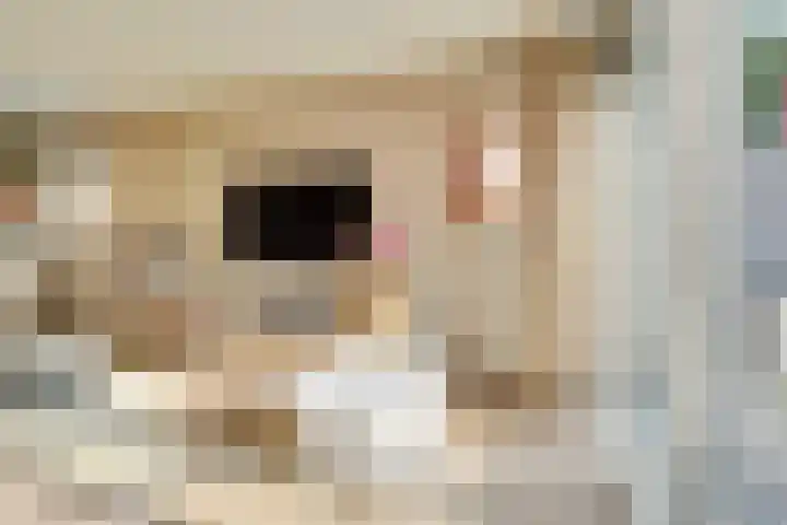 Saxofoonlaan 32 Nieuwegein thumbnail 6