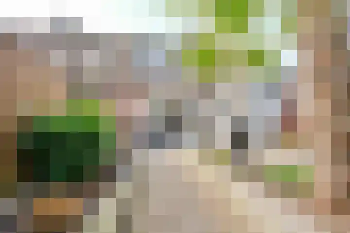 Saxofoonstraat 10 Spijkenisse thumbnail 19