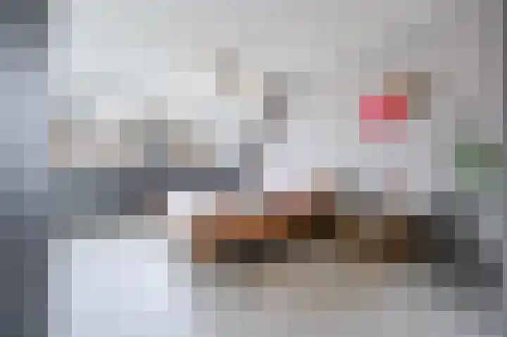 Saxofoonstraat 10 Spijkenisse thumbnail 24