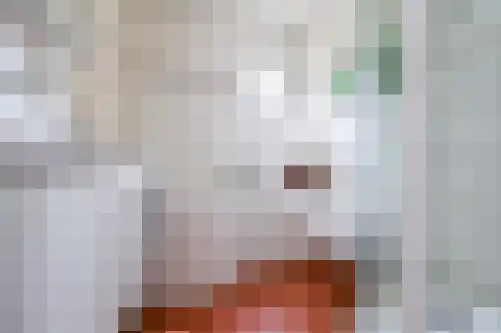 Saxofoonstraat 10 Spijkenisse thumbnail 4