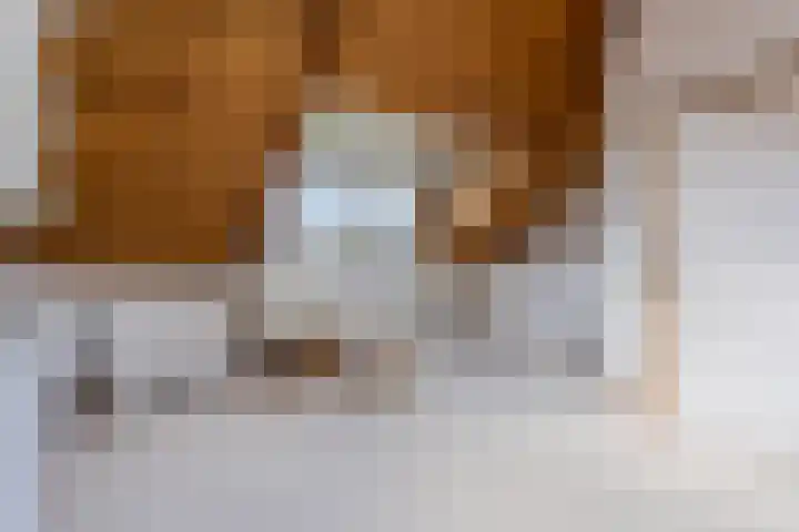 Saxofoonstraat 105 Helmond thumbnail 36