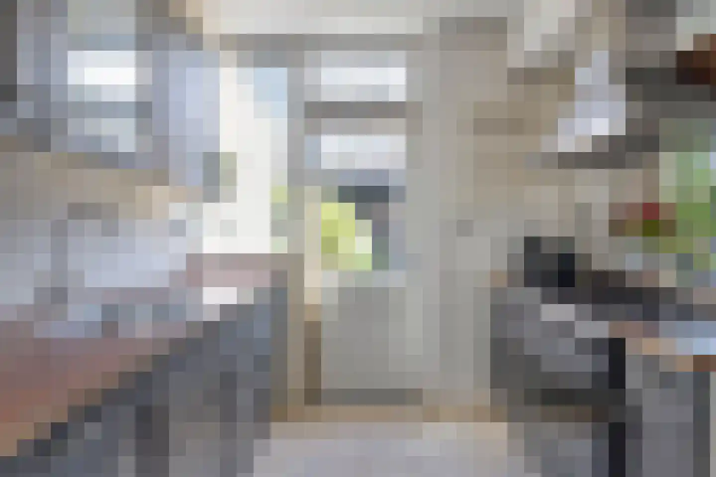 Saxofoonstraat 130 Uden thumbnail 14