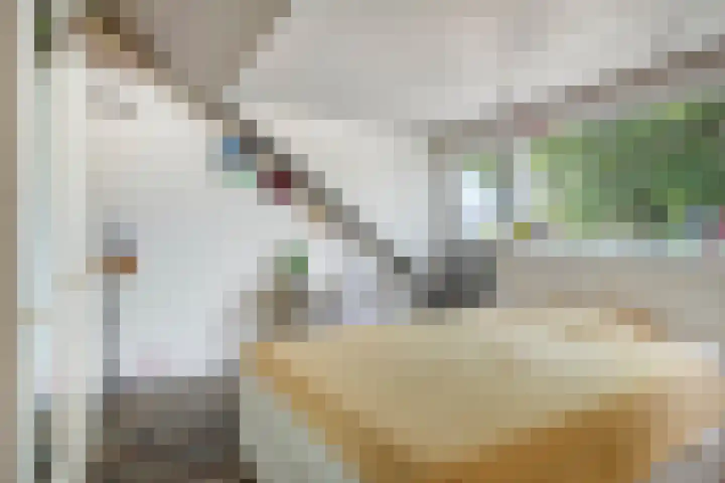 Saxofoonstraat 130 Uden thumbnail 27
