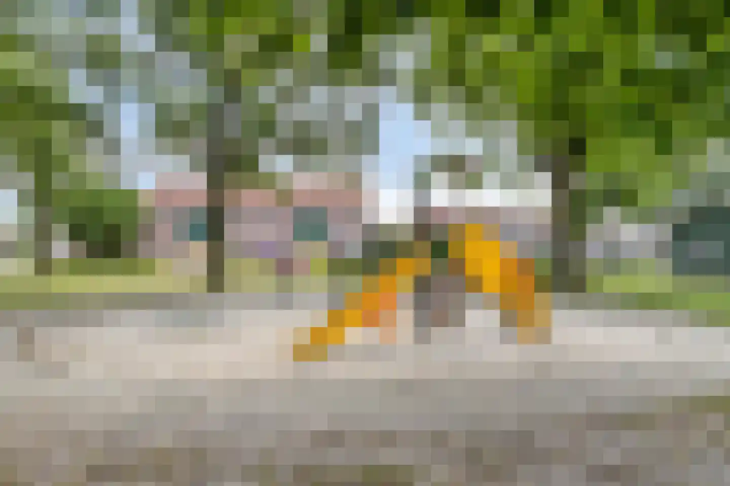 Saxofoonstraat 130 Uden thumbnail 38