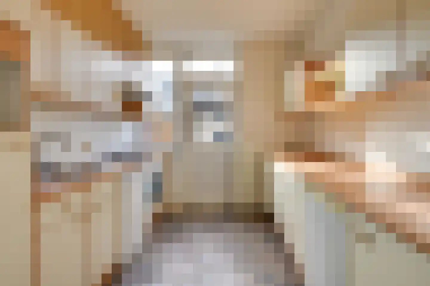 Saxofoonstraat 142 Uden thumbnail 10