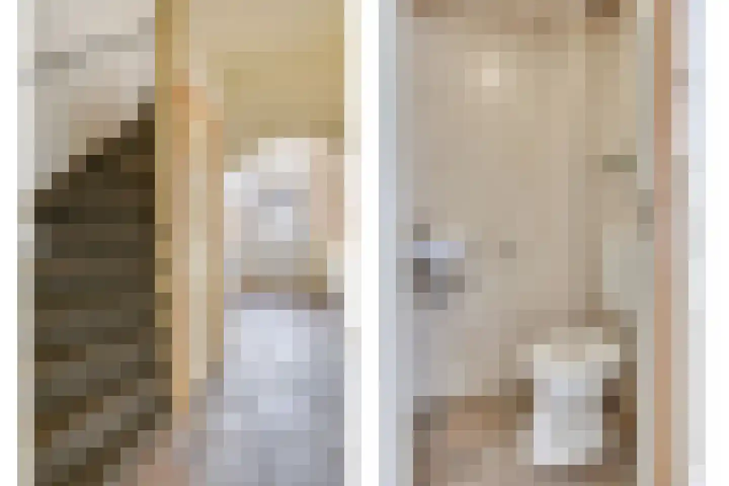 Saxofoonstraat 142 Uden thumbnail 12