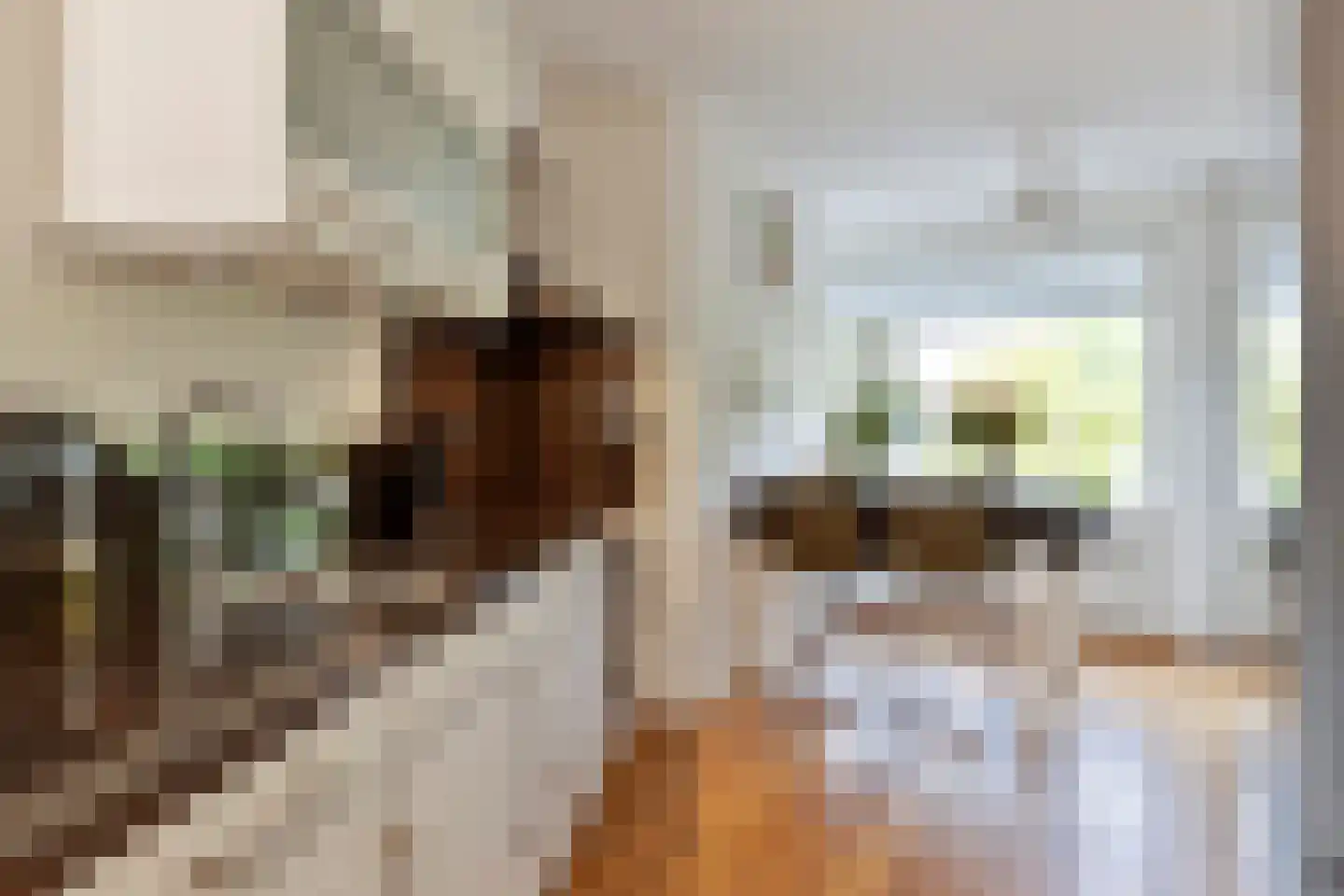 Saxofoonstraat 15 Duiven thumbnail 14