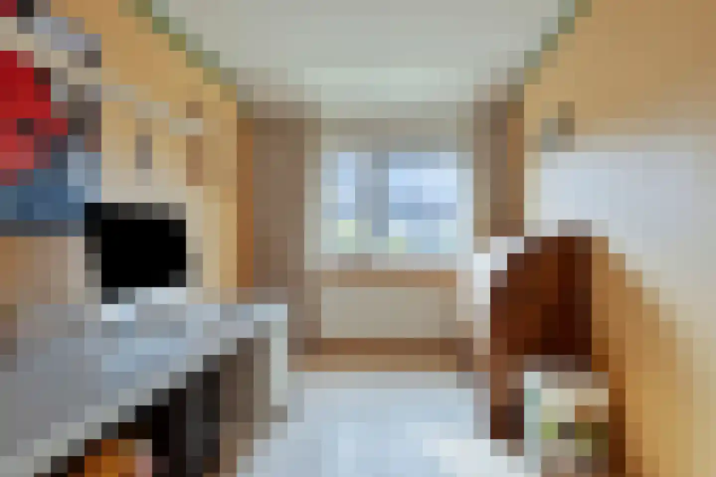 Saxofoonstraat 15 Duiven thumbnail 22