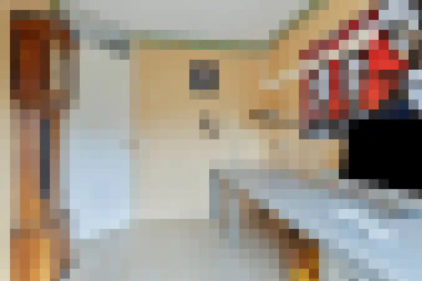Saxofoonstraat 15 Duiven thumbnail 24
