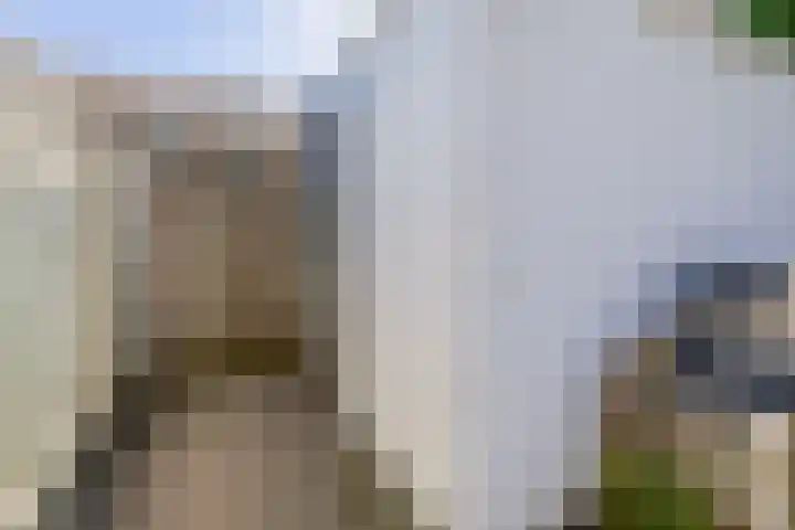 Saxofoonstraat 19 Helmond thumbnail 39