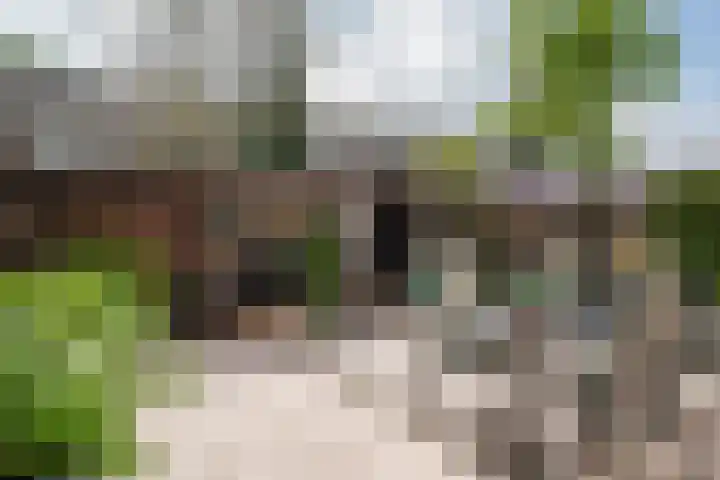 Saxofoonstraat 28 Uden thumbnail 10