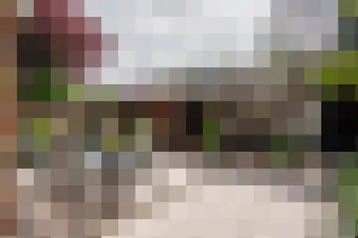 Saxofoonstraat 28 Uden thumbnail 11