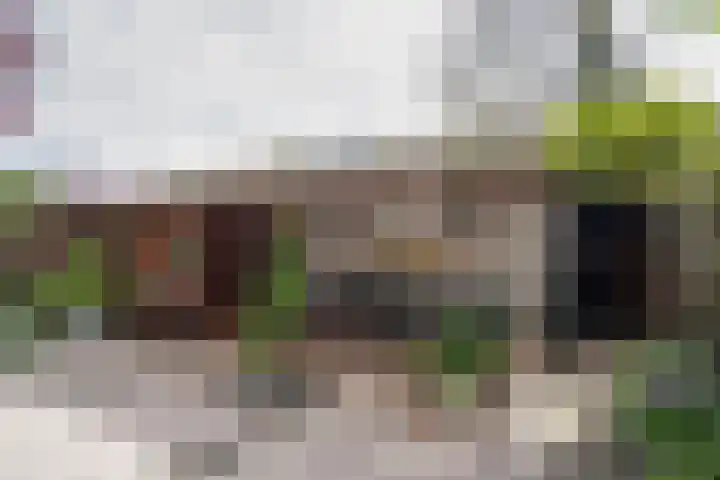 Saxofoonstraat 28 Uden thumbnail 12