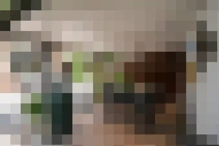 Saxofoonstraat 28 Uden thumbnail 13