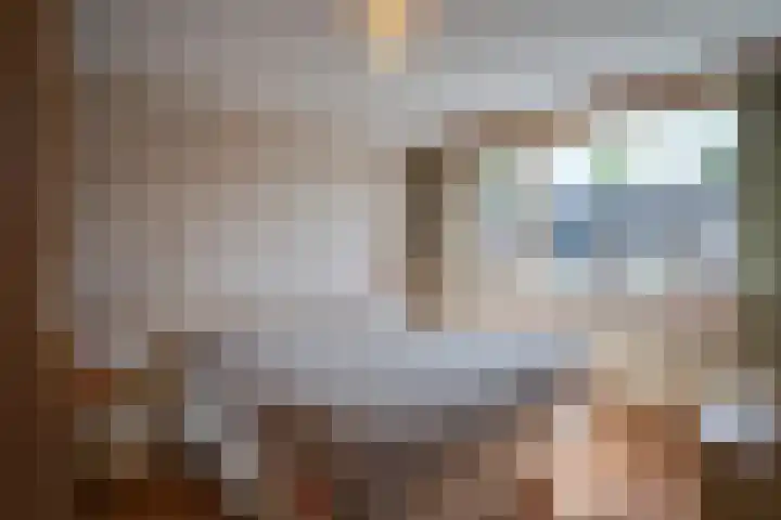 Saxofoonstraat 28 Uden thumbnail 26