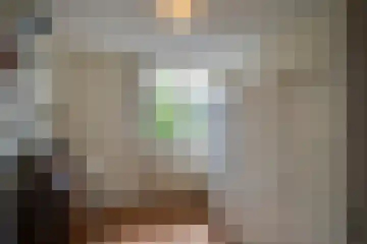 Saxofoonstraat 28 Uden thumbnail 27