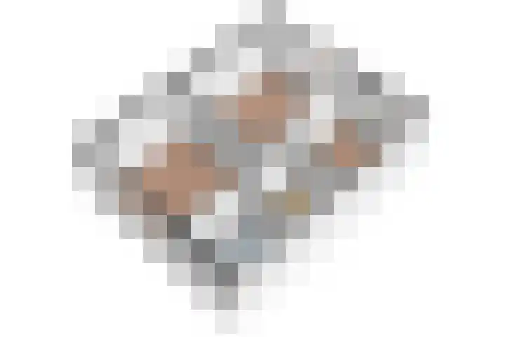 Saxofoonstraat 28 Uden thumbnail 38