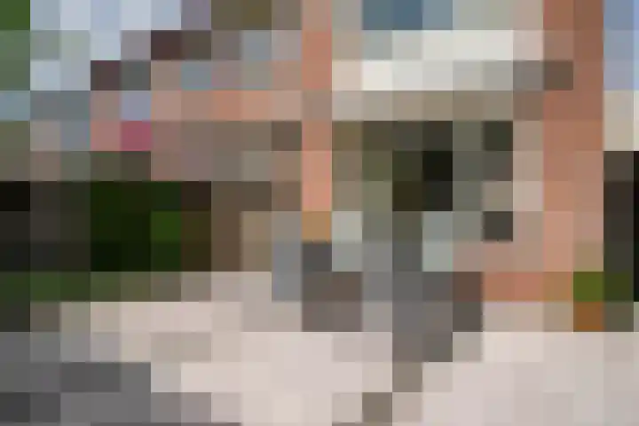 Saxofoonstraat 28 Uden thumbnail 7