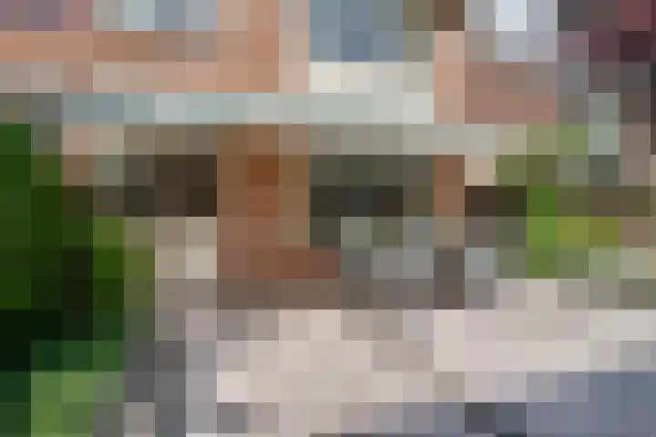 Saxofoonstraat 28 Uden thumbnail 8