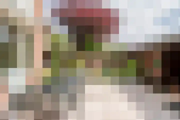 Saxofoonstraat 28 Uden thumbnail 9