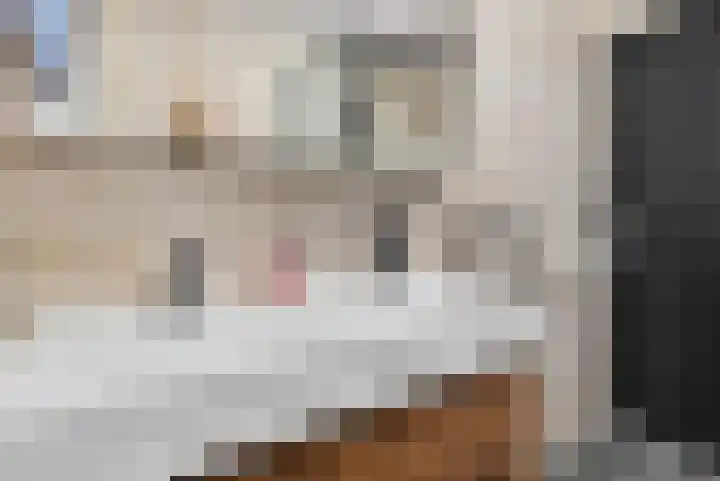 Saxofoonstraat 3 Helmond thumbnail 27