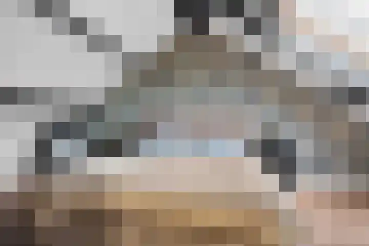 Saxofoonstraat 3 Helmond thumbnail 37
