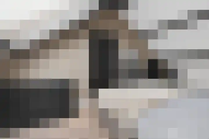 Saxofoonstraat 3 Helmond thumbnail 38