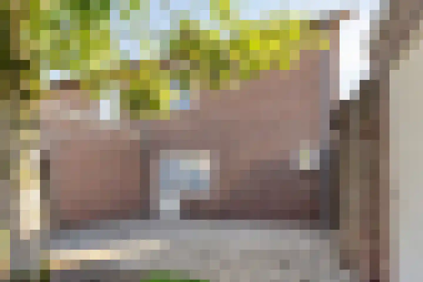 Saxofoonstraat 35 Uden thumbnail 25